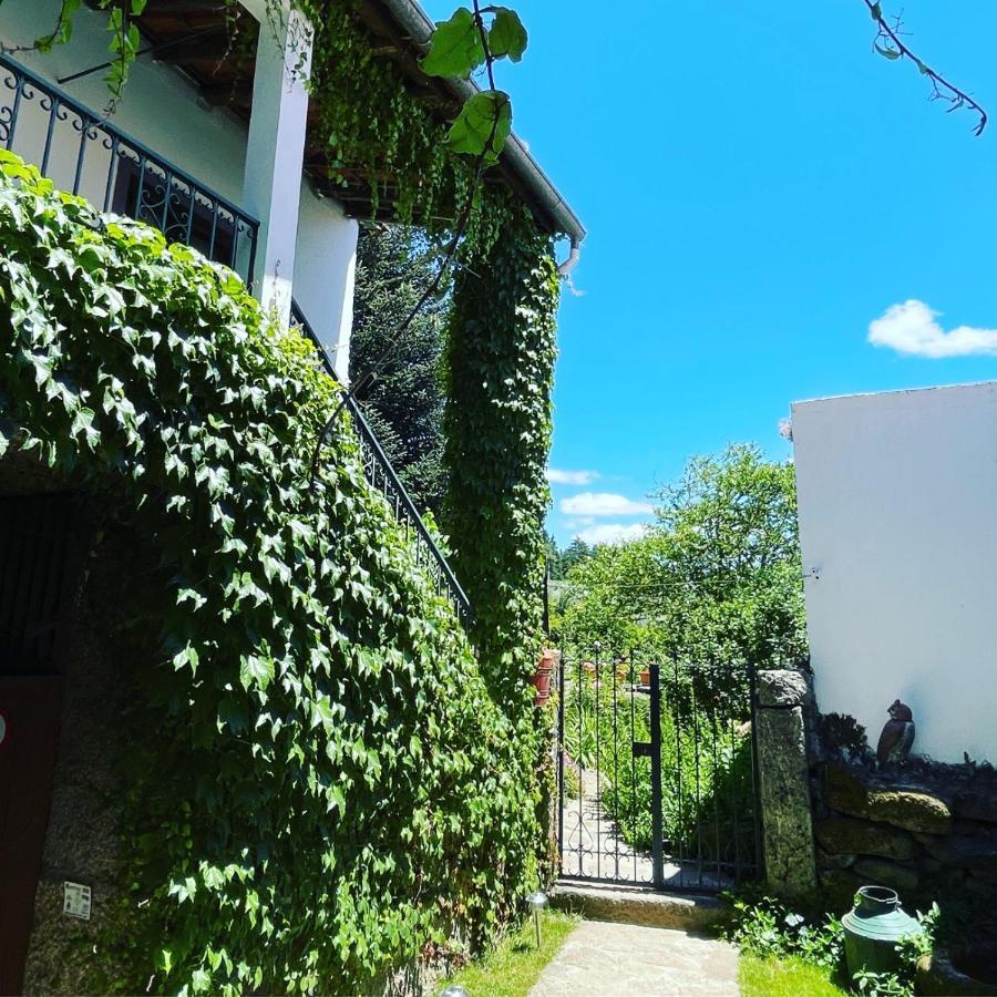 Casa Do Beco B&B Douro - Guest House Parambos Exterior foto